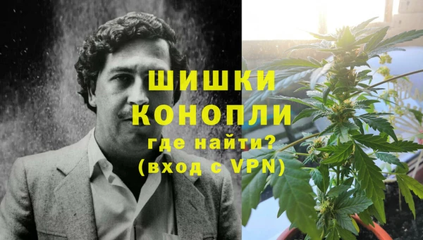 трава Инта