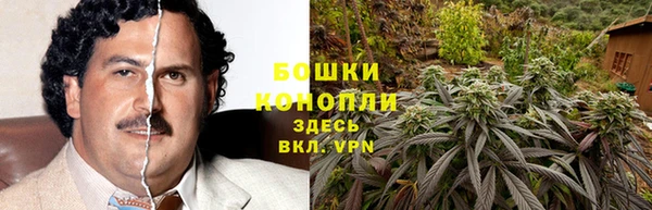 трава Инта