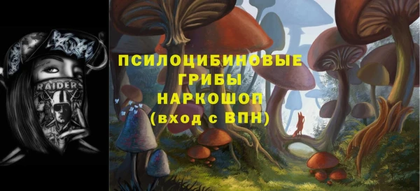 трава Инта