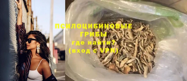 трава Инта